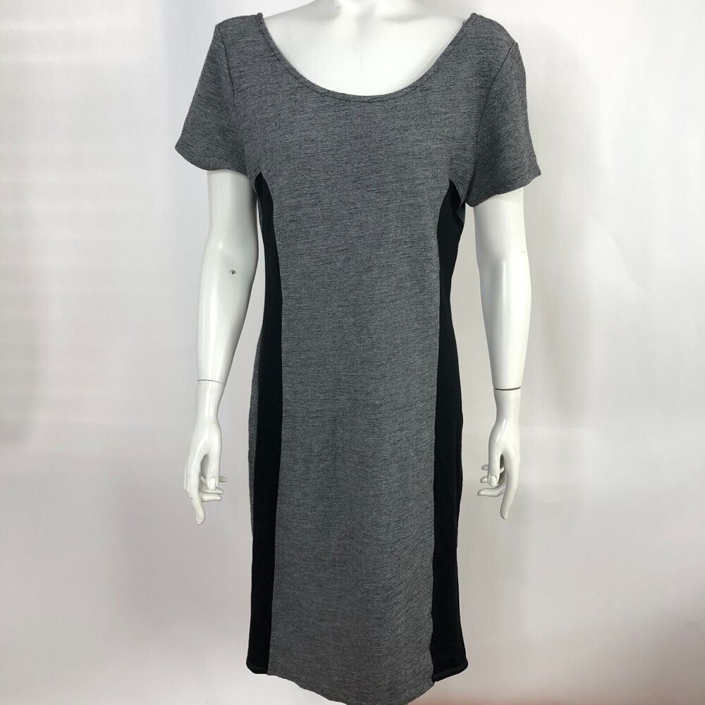 Velvet Graham & Spencer Large Sheath Scoop Neck Gray Women's Mid Length Dress